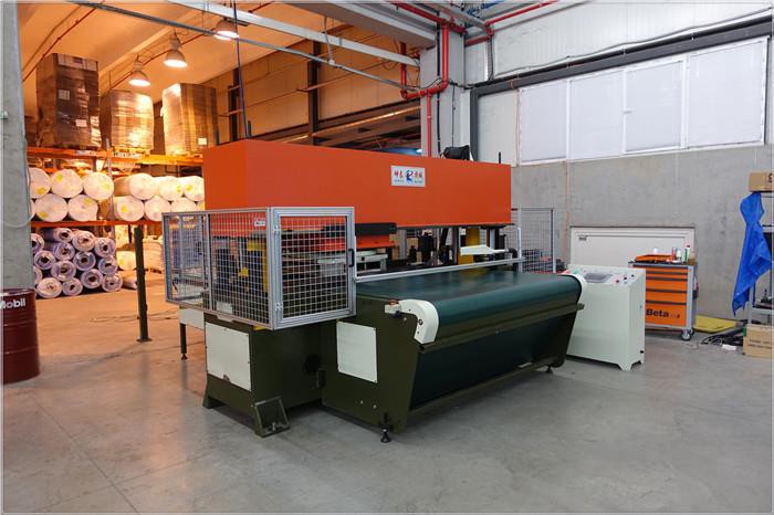 Máquina cortando automática completa do PLC da alimentação da correia transportadora